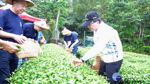 金寶電子ESG企業永續 攜手深坑農會推食農教育體驗