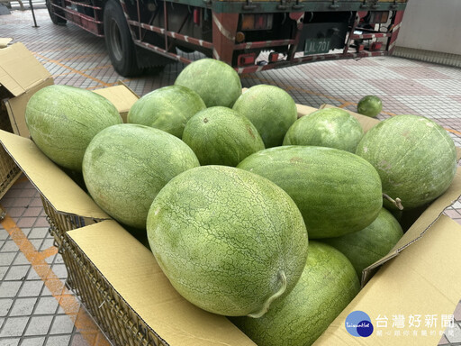 南投縣府聯手家樂福 限時開賣產地直送花蓮大西瓜