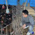 展現桃園在地青創實力 桃市洺鈞畜產獲綠色願景獎