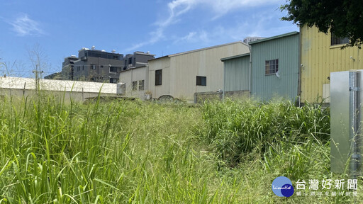告別墳頭草！楊瓊瓔、羅永珍推動三墓遷葬 神岡年底增4.6公頃綠肺