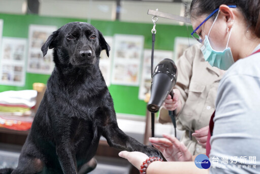 企業集愛捐新北毛寶貝飼料 體驗一日志工服務