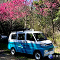 打造北橫旅遊移動新地標 「探索北橫號」品牌宣傳車即將亮相
