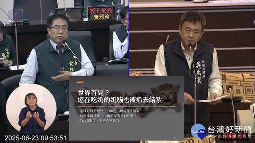 南市結紮團隊抓紮小奶貓 議員抨擊殘暴