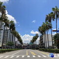 回應社區居民期待 南市府人本設計重塑南區大林路景觀風貌