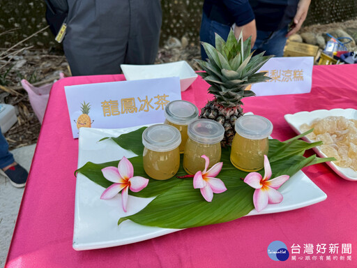 社頭鄉山腳路「土鳳梨」進入盛產期 口感多汁酸甜不打折
