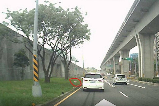 守護市容環境不手軟 桃市環保局7月起針對6項行為加重裁罰