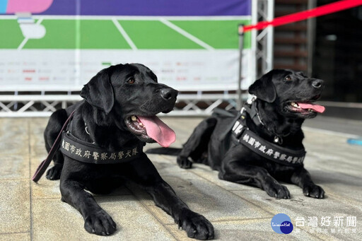 提升公務犬健康福祉與執勤效能 桃市首推「警犬與消防犬健康照護計畫」