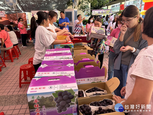草屯葡萄節紫色浪漫幸福成串登場 全方位呈現地方農業魅力
