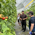 返鄉青農謝智宇仁愛種番茄 揪團打造高山牛番茄故鄉