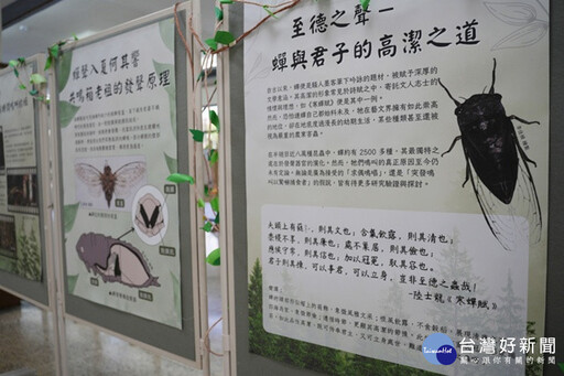 從詩詞繪畫認識昆蟲 中興大學昆蟲展開幕