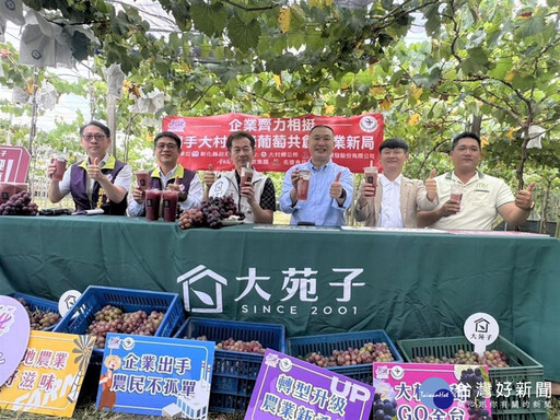 氣候異常影響果實大小不一 地方攜手企業相挺大村巨峰葡萄