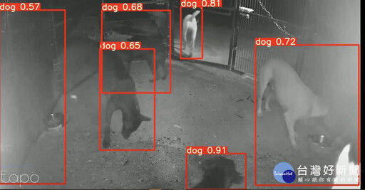 嘉義縣升級AI智慧捕犬系統 義竹試辦一週成效達8成