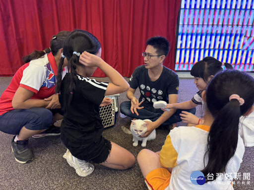 建德國小愛心義賣助貓咪手術 孩子親筆祝福「建德大白」早日康復