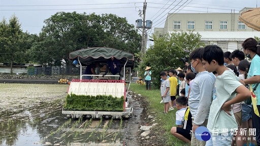 梧棲農會食農夏令營 親子體驗插秧學碾米