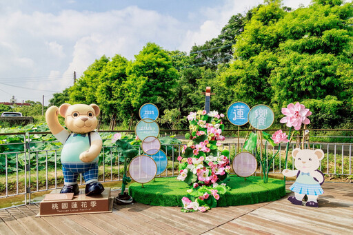 「女蜘蛛人」攀桃園蓮花季裝置藝術拍照 農業局：可近觀不可褻玩
