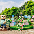 「女蜘蛛人」攀桃園蓮花季裝置藝術拍照 農業局：可近觀不可褻玩