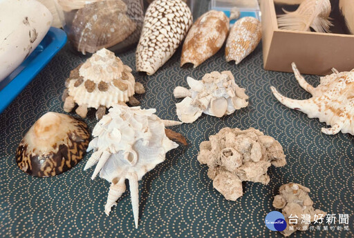 光明正大來「摸魚」 永安漁港「海客漁鄉鱻有魚」食魚教育周末登場