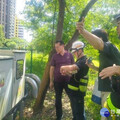 楊柳多變須慎防 北市工務局完成防救災整備