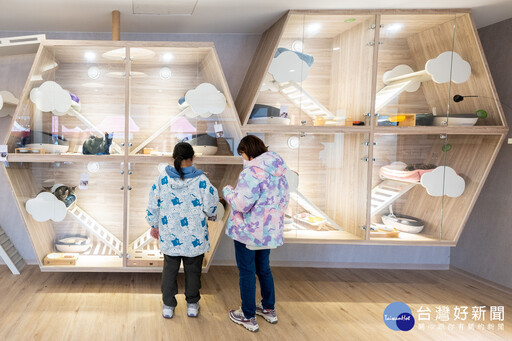 桃市寵物公園年底達30座全臺最多 張善政：持續打造寵物友善城市