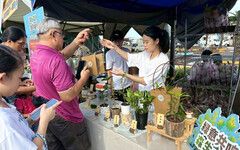 新北與宜蘭童玩節合作 送千組樹苗守護地球