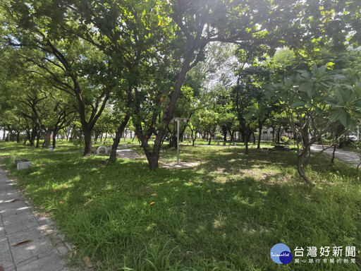 南市行道樹、公園傾倒樹木2萬餘棵 全部完成清理恢復市容