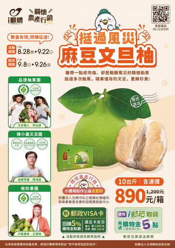 臺南郵局力挺麻豆文旦 颱風衝擊依舊展銷全台