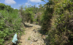 南市爭取中央經費改善野溪達10公里 大幅提升山區防災效能