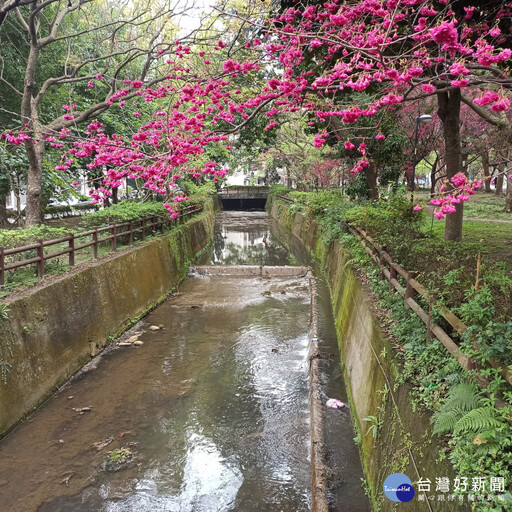 桃園治水重大進展!黃屋莊支線正式動起來 為市民打造安心家園