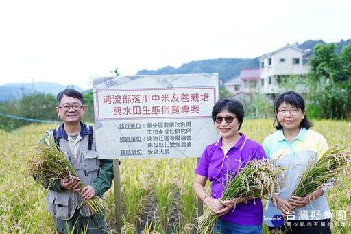 臺中農改場跨域推廣減藥友善生態栽培 助清流部落川中米永續發展
