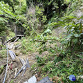 大坑10號登山步道因颱風受損加速復建中 中市府籲民眾配合改道