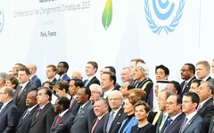碳權的四大國際現場