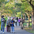 偽造遺囑爭產，如何預防與破解？