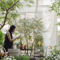 City城市園丁 Gardener