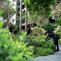 產業、軌道、品牌三力齊發 台中房市多點開花