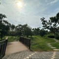 社區型公園宅吃香 台中建商挾優勢競推新案