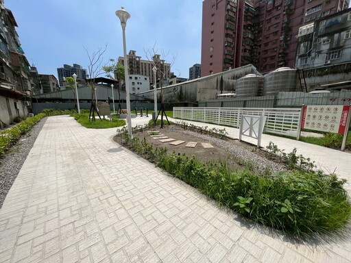 蘆洲兒七公園正式啟用 打造多功能綠地新亮點