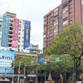 房市蛇年犯太歲 建商誠意開價迎戰川普瘋狗浪