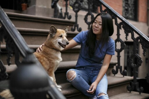 管委會大小事2/鄰居半夜吵、寵物不能落地?社區吵最兇的事一次解答