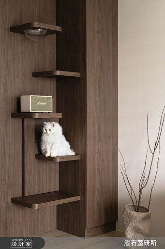 寵物宅設計新典範！32 坪新古屋融入寵物設計，實踐親子與貓咪共生日常