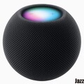 HomePod mini 推出午夜黑新色但沒有太空灰色了！溫濕度功能大家會用嗎這邊教你？