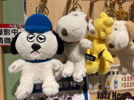 iPhone 17相機功能與拍照錄影實測分享：是今年最超值推薦買的 iPhone 新機