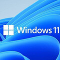 Windows 11又出災情！24H2更新致SSD硬碟異常消失 數品牌產品都出事