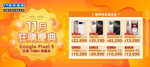 錯過會哭！雙11快閃Google Pixel 9直降7100