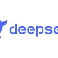 DeepSeek風潮，專家怎麼看？