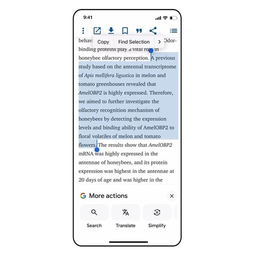 Google推AI工具「Simplify」iPhone用戶可一鍵轉譯複雜術語