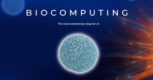 16個大腦組成「超級電腦」 瑞士推出全球第一台活體電腦