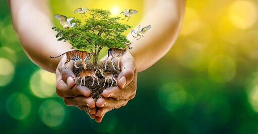【永續／ESG】全球生態挑戰 國際大型企業如何守護生物多樣性