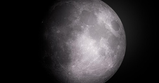 月球能拯救地球瀕臨滅絕的物種嗎？