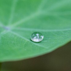 科學家創造「智慧晶體」 不用任何能源就可從空氣中收集水