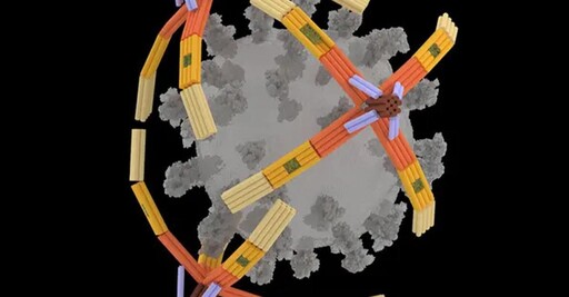 美國科學家開發微型DNA機器人 可抓住各種病毒防細胞感染